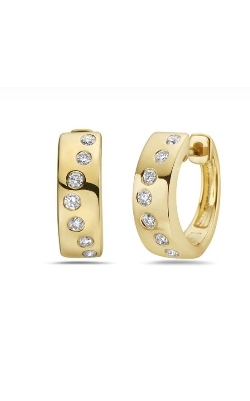 Bassali  Earring ER14679D