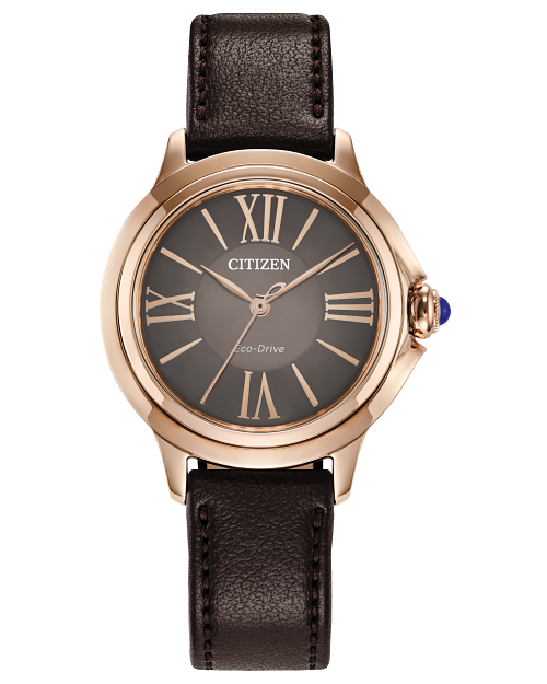 Citizen  Watch EM1163-09X