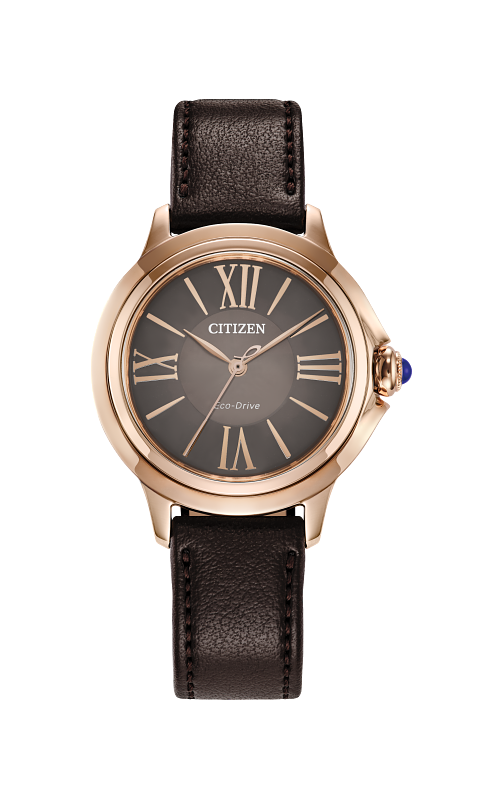 Citizen  Watch EM1163-09X