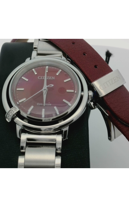 Citizen  Watch em1091-67x