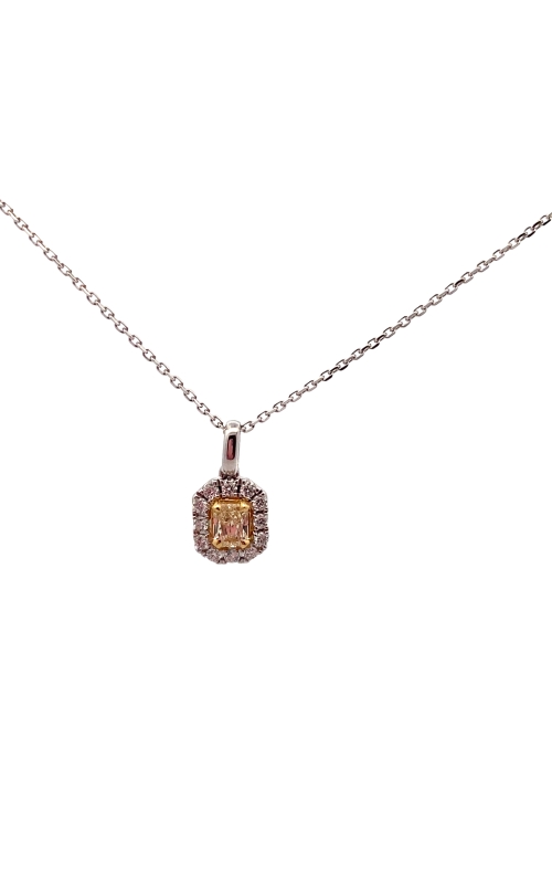 Smith's  Necklace 25089210